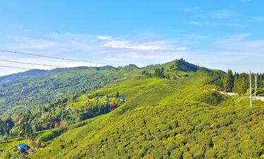 Ilam Tea Garden and Dhankuta Hill Station Tour