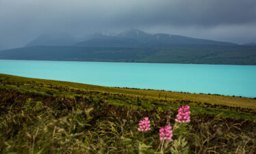 Rara Lake and Bardiya Wildlife Safari